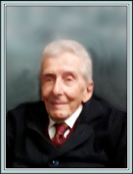 prof. Andrea Romagnoli