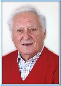 Raffaele Vincenzo Zambon